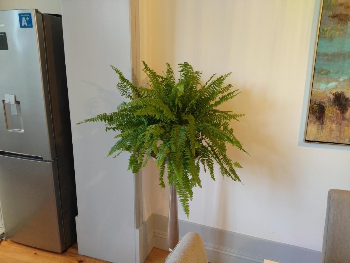Lusitania Garden Apartment - Jardim Privado Porto Kültér fotó